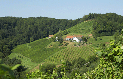 Weingut Sabathi - Kranchberg