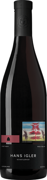 Pinot Noir Ried Fabian 2020 
