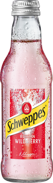 Schweppes Wild Berry 24er-Karton 