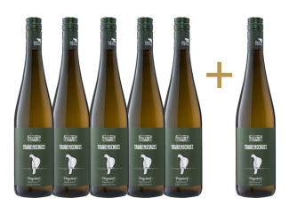 "Grüner Veltliner Poysdorf 2023" 5+1 GRATIS Paket 