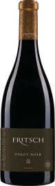 Pinot Noir P 2020 
